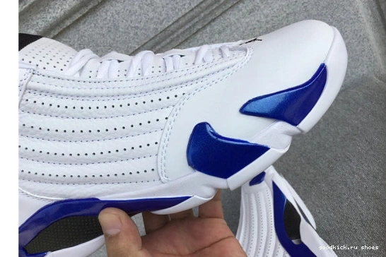 Air 14’Hyper AJ-14 Jordan Royal’ 0309